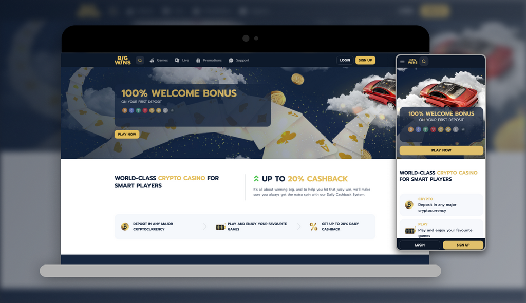 Big Wins Gambling Establishment Review: Software Program