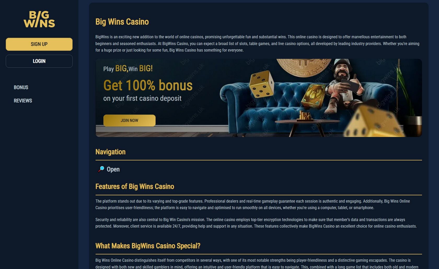 Ultimate Guide to Internet High Risks Online Casino Game: Big Wins, Leading Platforms & Strategies